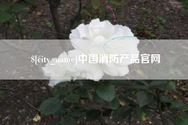 杞县中国消防产品官网