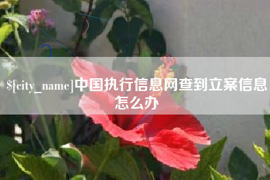 杞县中国执行信息网查到立案信息怎么办
