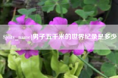杞县男子五千米的世界纪录是多少