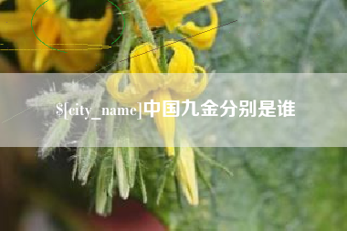 杞县中国九金分别是谁