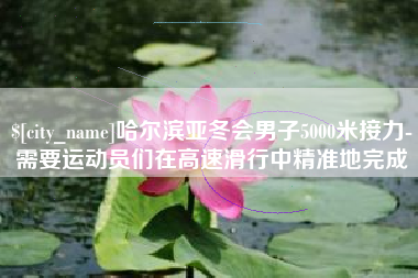 杞县哈尔滨亚冬会男子5000米接力-需要运动员们在高速滑行中精准地完成