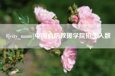 杞县中国消防救援学院招生人数