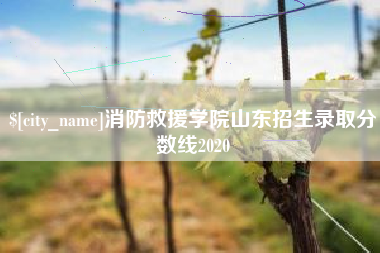 杞县消防救援学院山东招生录取分数线2020