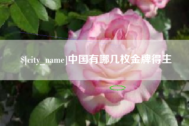 杞县中国有哪几枚金牌得主