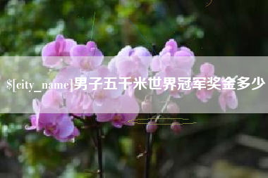 杞县男子五千米世界冠军奖金多少