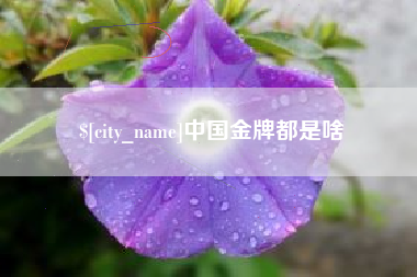 杞县中国金牌都是啥