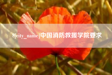 杞县中国消防救援学院要求