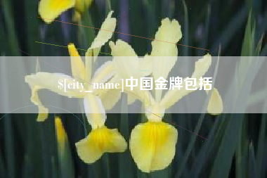 杞县中国金牌包括