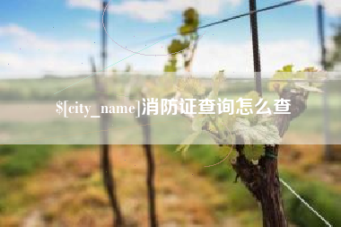 杞县消防证查询怎么查
