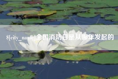 杞县全国消防日是从哪年发起的