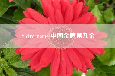 杞县中国金牌第九金