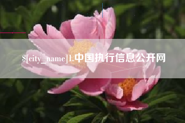 杞县1.中国执行信息公开网