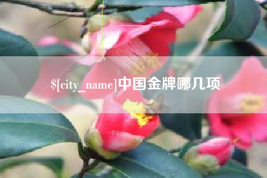 杞县中国金牌哪几项