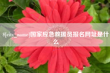 杞县国家应急救援员报名网址是什么