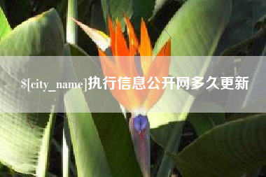 杞县执行信息公开网多久更新