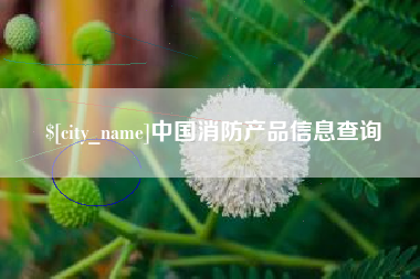 杞县中国消防产品信息查询