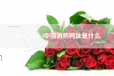 杞县中国消防网址是什么