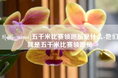 杞县五千米比赛领跑员是什么-他们就是五千米比赛领跑员
