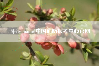 杞县中国消防报考中心官网
