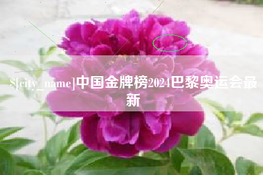 杞县中国金牌榜2024巴黎奥运会最新