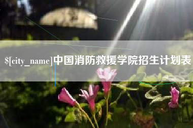 杞县中国消防救援学院招生计划表