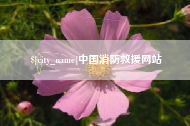杞县中国消防救援网站
