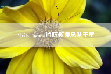 杞县消防救援总队王星