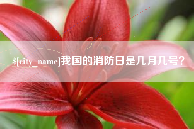 杞县我国的消防日是几月几号？