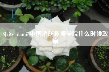杞县中国消防救援学院什么时候政审