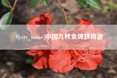 杞县中国九枚金牌获得者