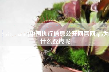 杞县中国执行信息公开网官网app为什么要钱呢