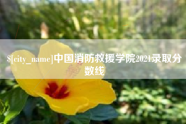 杞县中国消防救援学院2021录取分数线
