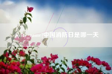 杞县中国消防日是哪一天