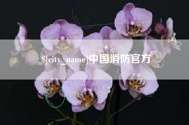 杞县中国消防官方