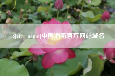 杞县中国消防官方网站域名