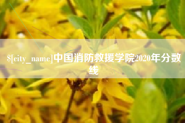 杞县中国消防救援学院2020年分数线
