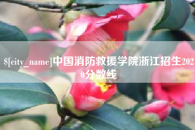 杞县中国消防救援学院浙江招生2020分数线