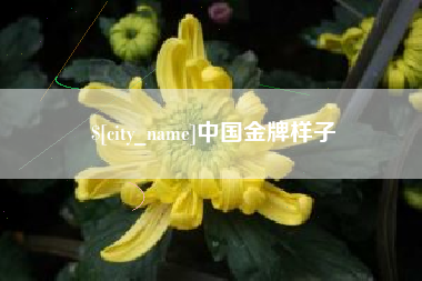 杞县中国金牌样子