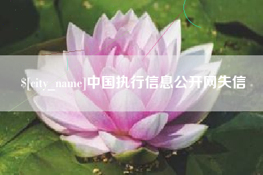 杞县中国执行信息公开网失信