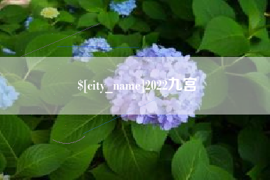 杞县2022九宫