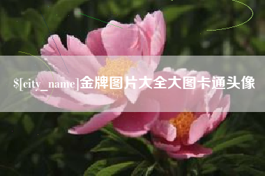 杞县金牌图片大全大图卡通头像