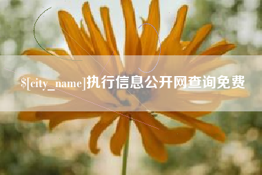 杞县执行信息公开网查询免费